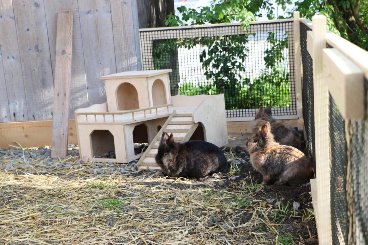 Appartamento Ferienbauernhof Moosbrugger Schoppernau Esterno foto