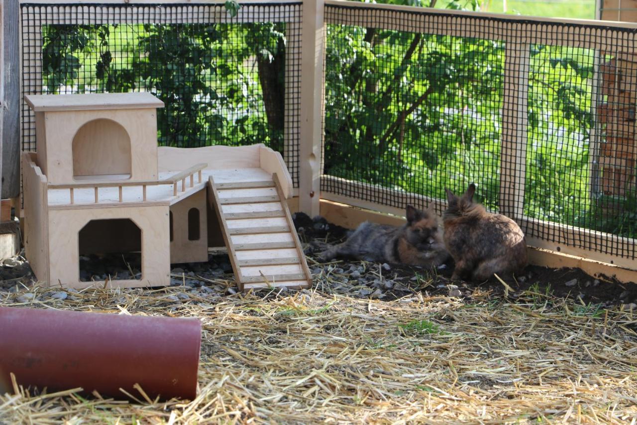 Appartamento Ferienbauernhof Moosbrugger Schoppernau Esterno foto