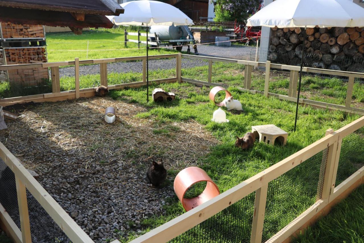 Appartamento Ferienbauernhof Moosbrugger Schoppernau Esterno foto