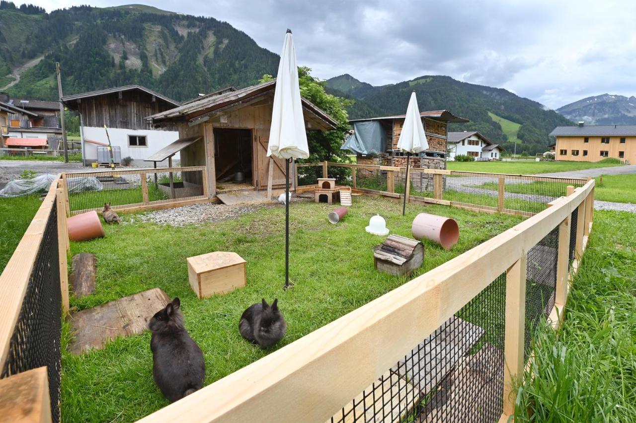 Appartamento Ferienbauernhof Moosbrugger Schoppernau Esterno foto