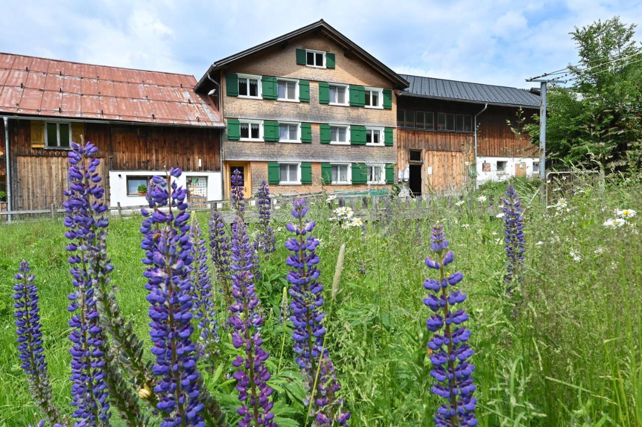 Appartamento Ferienbauernhof Moosbrugger Schoppernau Esterno foto
