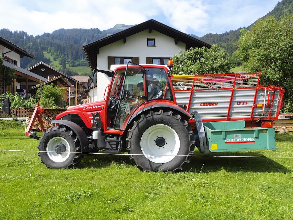 Appartamento Ferienbauernhof Moosbrugger Schoppernau Esterno foto